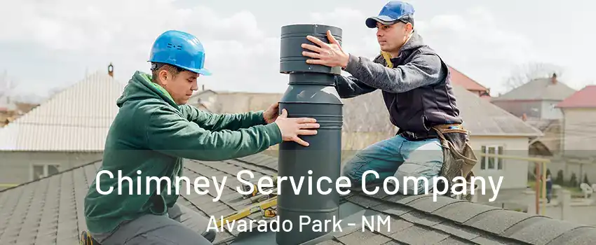 Chimney Service Company Alvarado Park - NM
