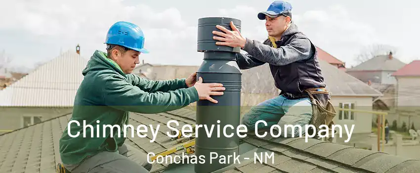 Chimney Service Company Conchas Park - NM