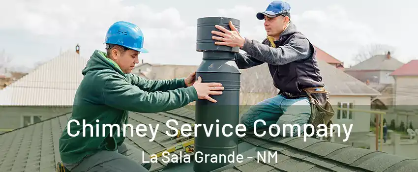Chimney Service Company La Sala Grande - NM