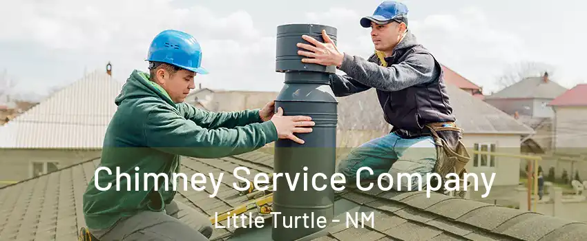 Chimney Service Company Little Turtle - NM