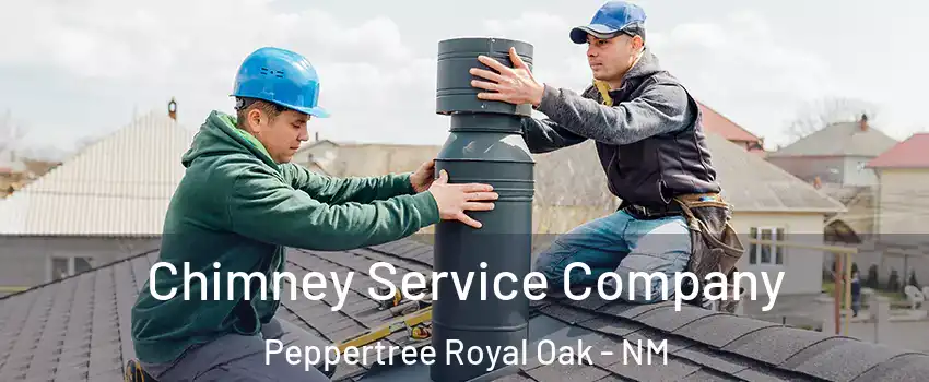 Chimney Service Company Peppertree Royal Oak - NM