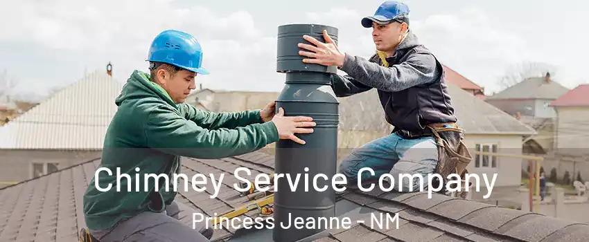 Chimney Service Company Princess Jeanne - NM