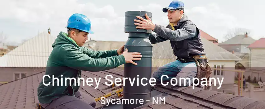 Chimney Service Company Sycamore - NM
