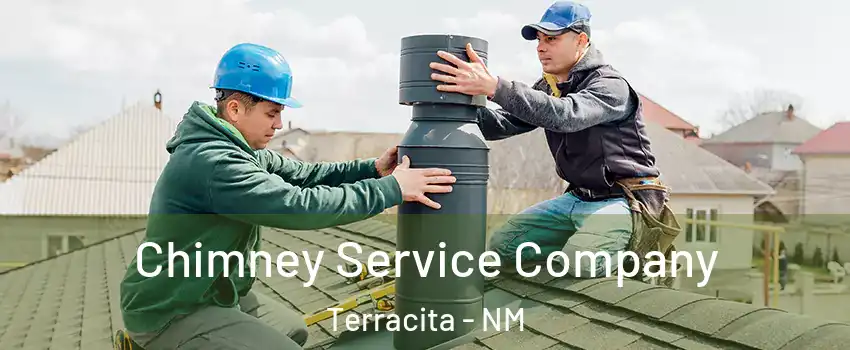 Chimney Service Company Terracita - NM