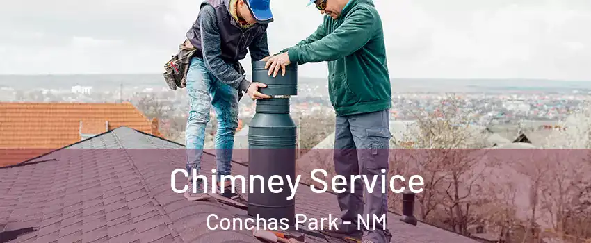 Chimney Service Conchas Park - NM