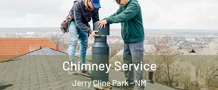 Chimney Service Jerry Cline Park - NM