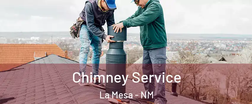 Chimney Service La Mesa - NM