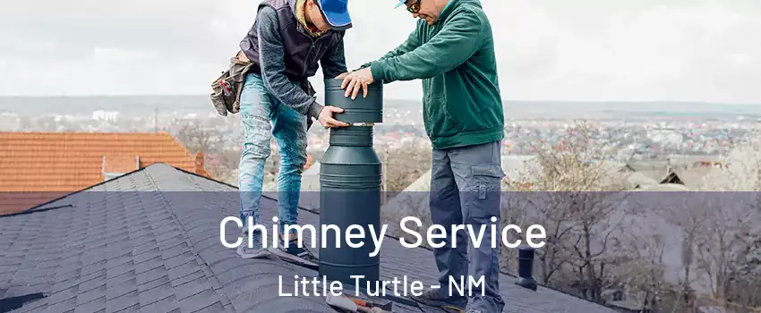 Chimney Service Little Turtle - NM