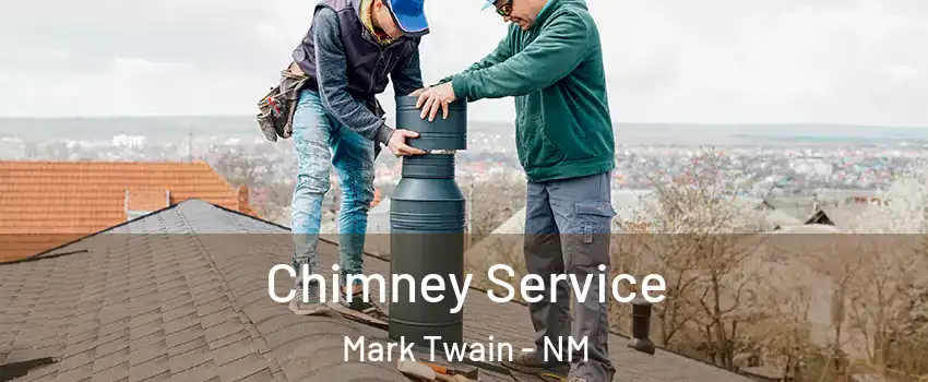 Chimney Service Mark Twain - NM