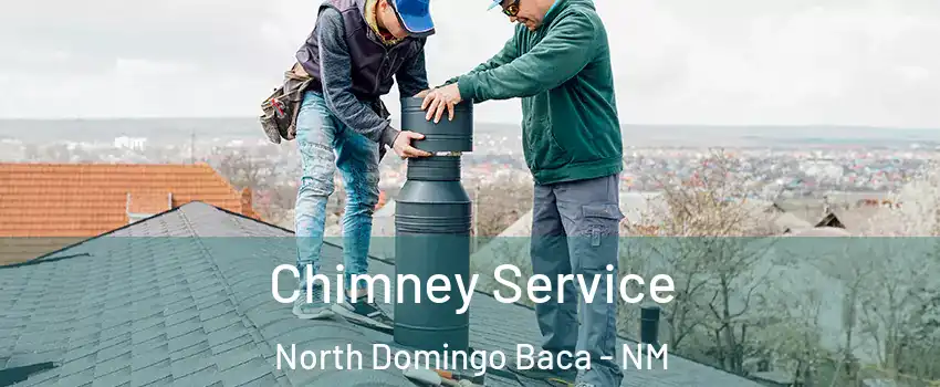 Chimney Service North Domingo Baca - NM