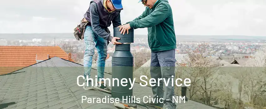 Chimney Service Paradise Hills Civic - NM
