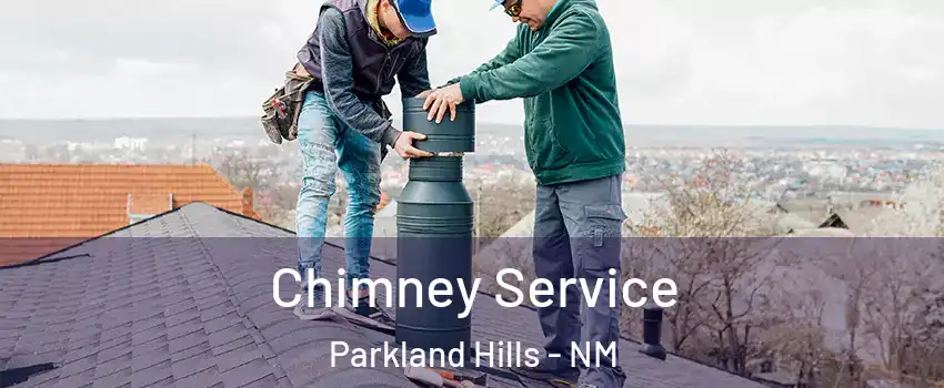 Chimney Service Parkland Hills - NM