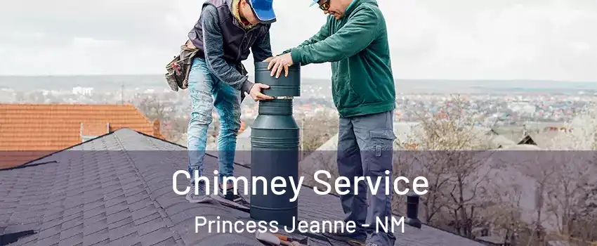 Chimney Service Princess Jeanne - NM
