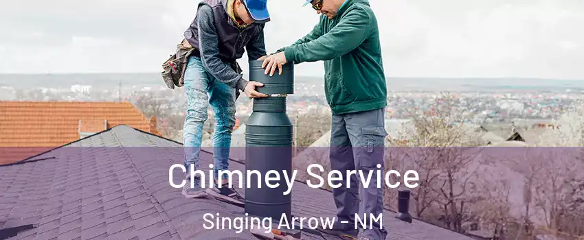 Chimney Service Singing Arrow - NM