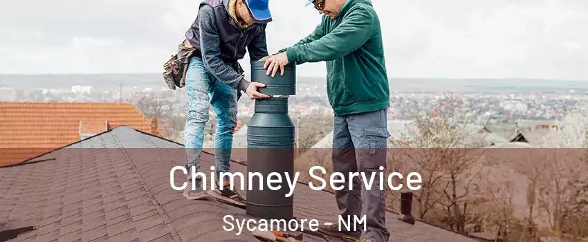 Chimney Service Sycamore - NM