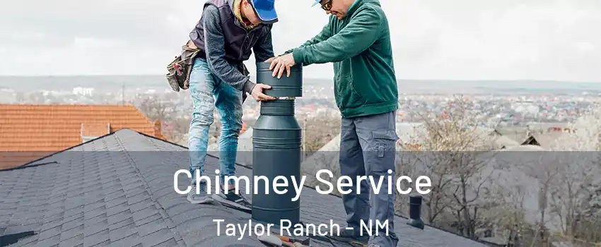 Chimney Service Taylor Ranch - NM