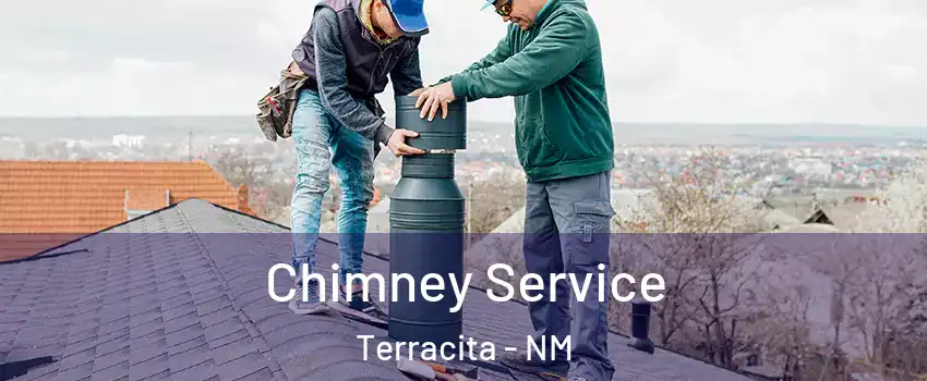 Chimney Service Terracita - NM