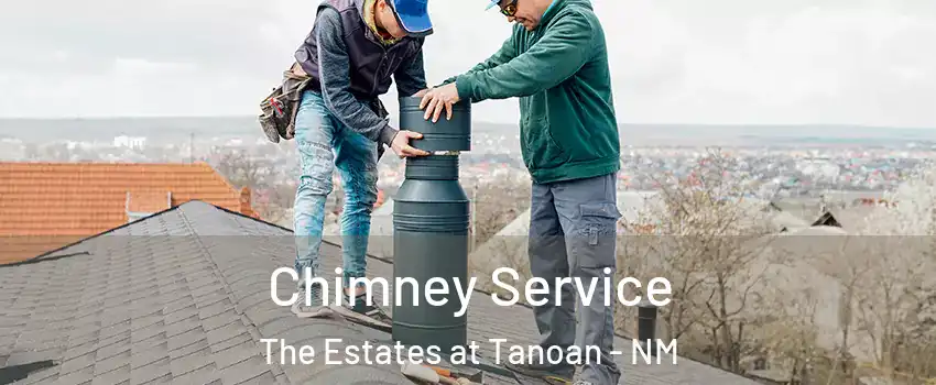 Chimney Service The Estates at Tanoan - NM