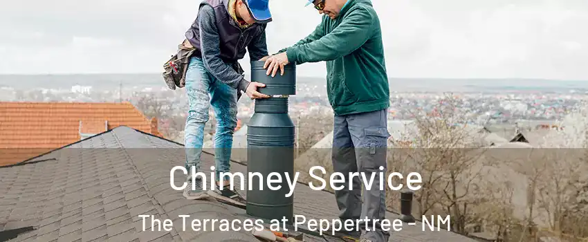Chimney Service The Terraces at Peppertree - NM