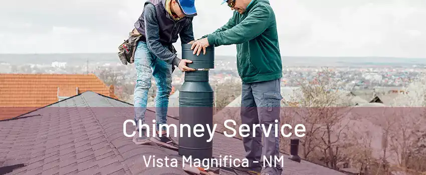 Chimney Service Vista Magnifica - NM
