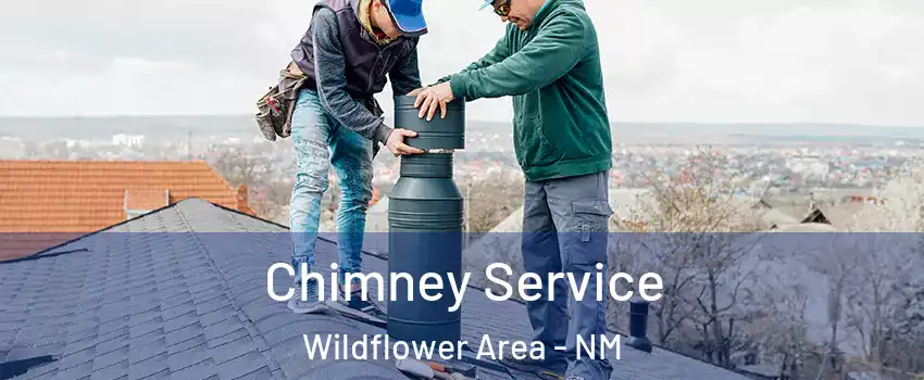 Chimney Service Wildflower Area - NM