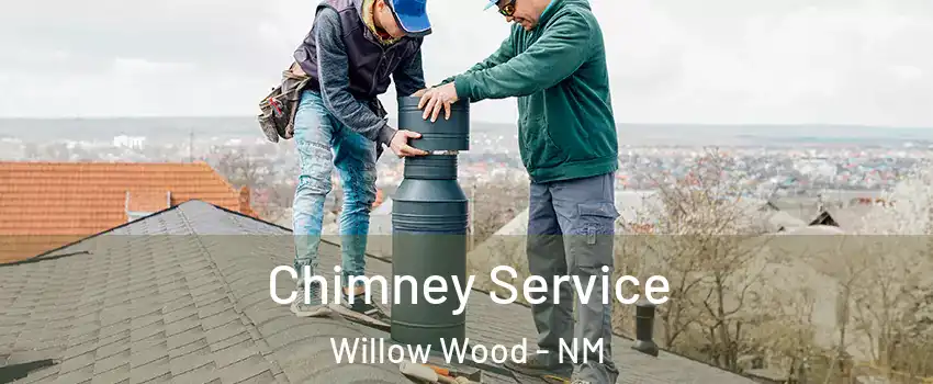 Chimney Service Willow Wood - NM