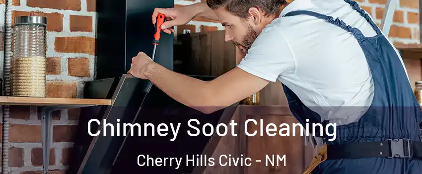 Chimney Soot Cleaning Cherry Hills Civic - NM