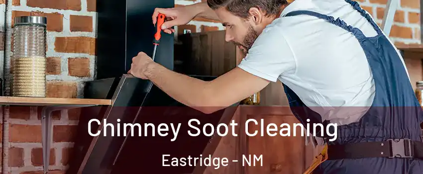 Chimney Soot Cleaning Eastridge - NM