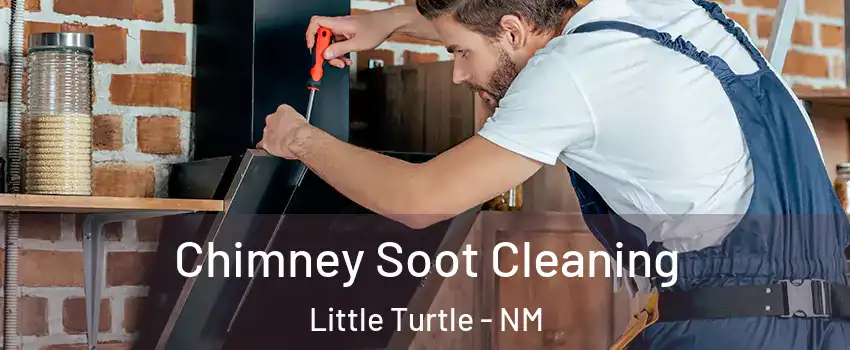 Chimney Soot Cleaning Little Turtle - NM