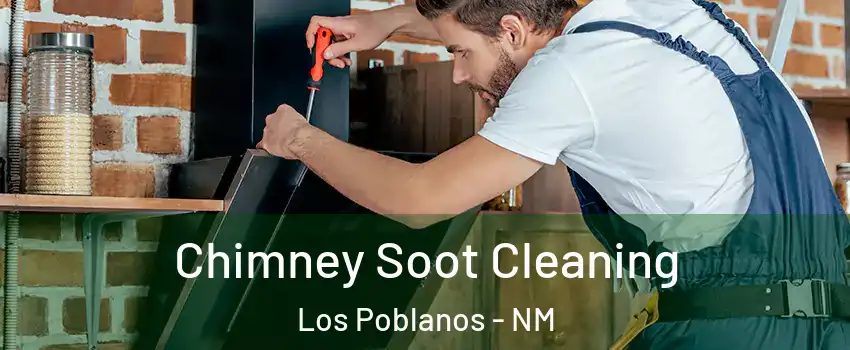 Chimney Soot Cleaning Los Poblanos - NM
