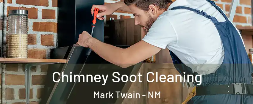 Chimney Soot Cleaning Mark Twain - NM
