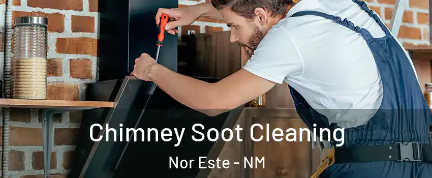 Chimney Soot Cleaning Nor Este - NM
