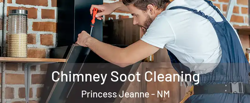 Chimney Soot Cleaning Princess Jeanne - NM