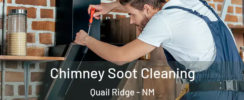 Chimney Soot Cleaning Quail Ridge - NM