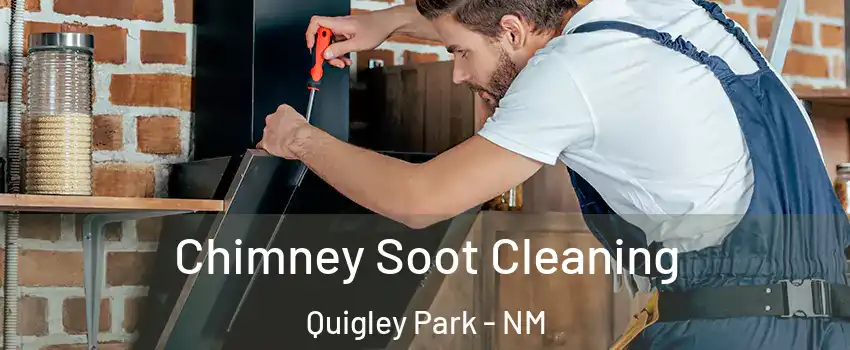 Chimney Soot Cleaning Quigley Park - NM