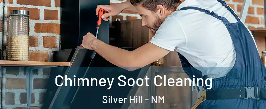 Chimney Soot Cleaning Silver Hill - NM