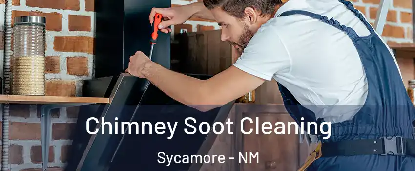 Chimney Soot Cleaning Sycamore - NM