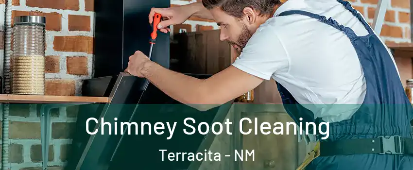 Chimney Soot Cleaning Terracita - NM