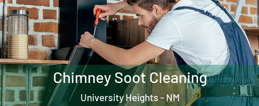 Chimney Soot Cleaning University Heights - NM