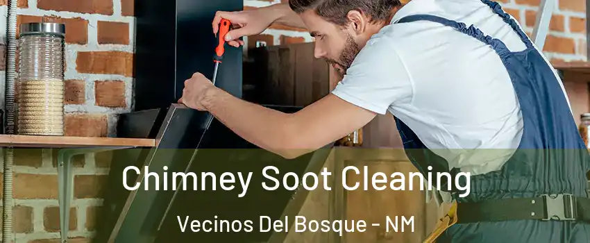 Chimney Soot Cleaning Vecinos Del Bosque - NM