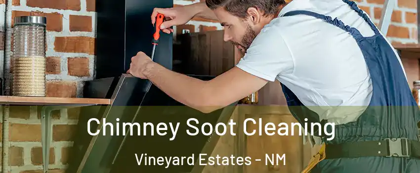 Chimney Soot Cleaning Vineyard Estates - NM