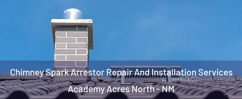 Chimney Spark Arrestor Repair And Installation Services Academy Acres North - NM
