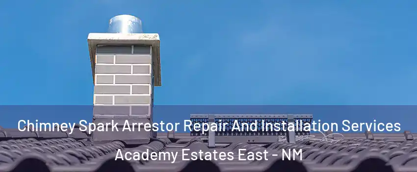Chimney Spark Arrestor Repair And Installation Services Academy Estates East - NM