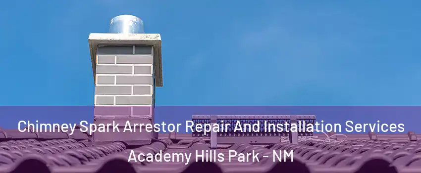 Chimney Spark Arrestor Repair And Installation Services Academy Hills Park - NM