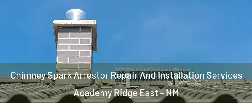 Chimney Spark Arrestor Repair And Installation Services Academy Ridge East - NM