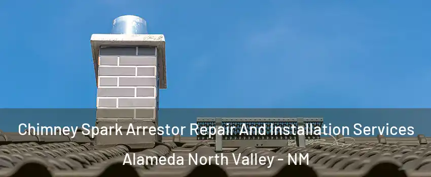 Chimney Spark Arrestor Repair And Installation Services Alameda North Valley - NM