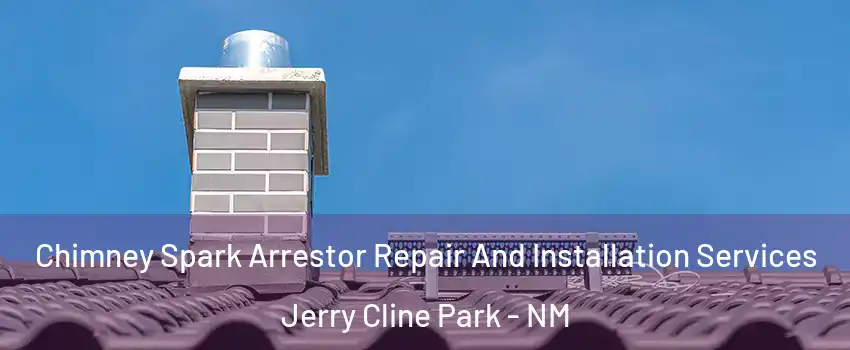 Chimney Spark Arrestor Repair And Installation Services Jerry Cline Park - NM