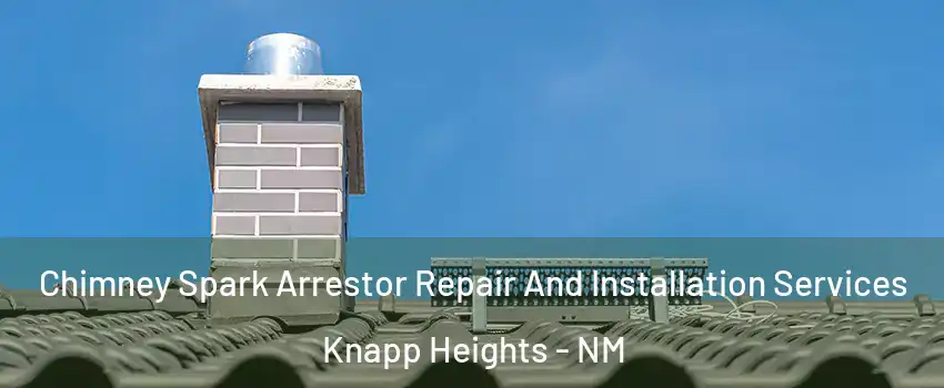 Chimney Spark Arrestor Repair And Installation Services Knapp Heights - NM