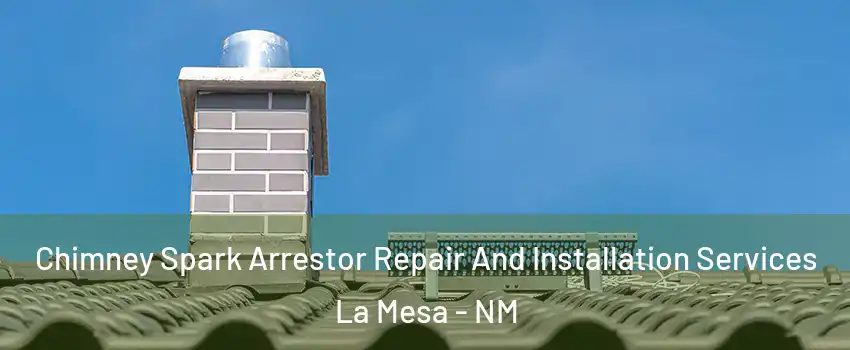 Chimney Spark Arrestor Repair And Installation Services La Mesa - NM