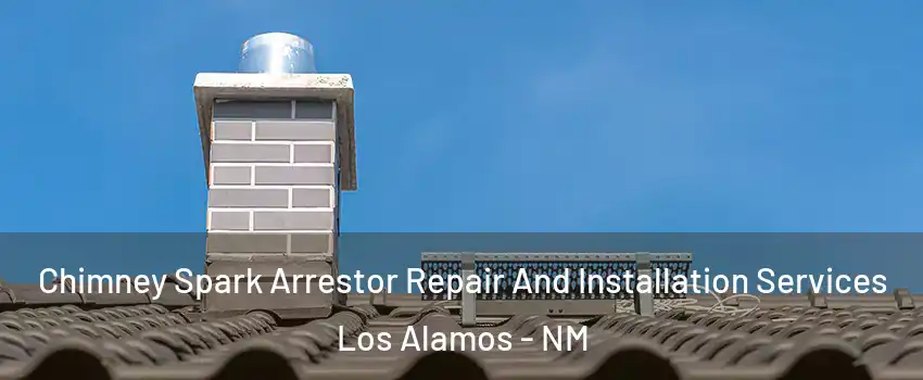 Chimney Spark Arrestor Repair And Installation Services Los Alamos - NM